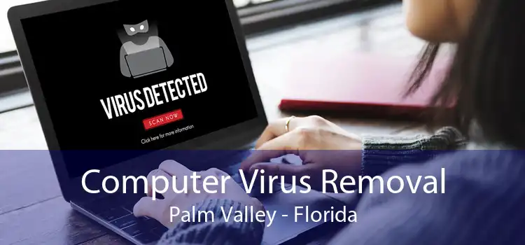 Computer Virus Removal Palm Valley - Florida