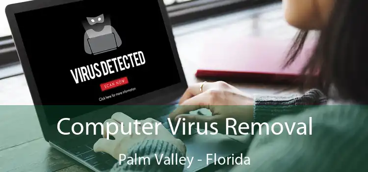 Computer Virus Removal Palm Valley - Florida