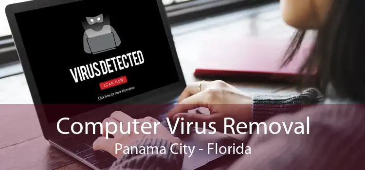 Computer Virus Removal Panama City - Florida