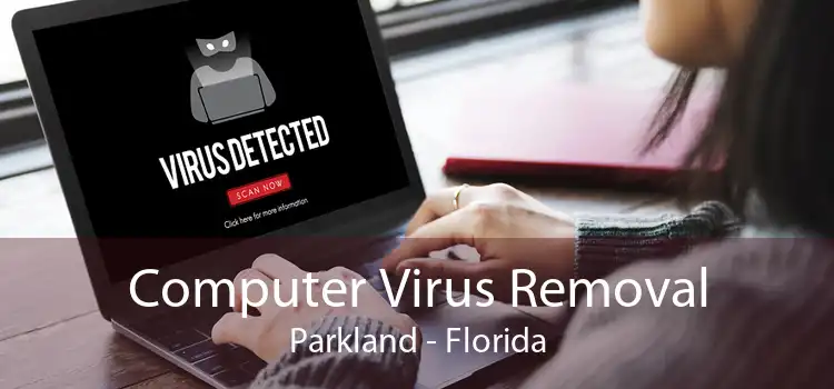 Computer Virus Removal Parkland - Florida