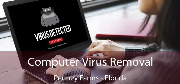 Computer Virus Removal Penney Farms - Florida
