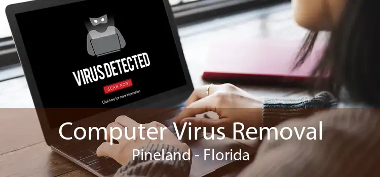 Computer Virus Removal Pineland - Florida