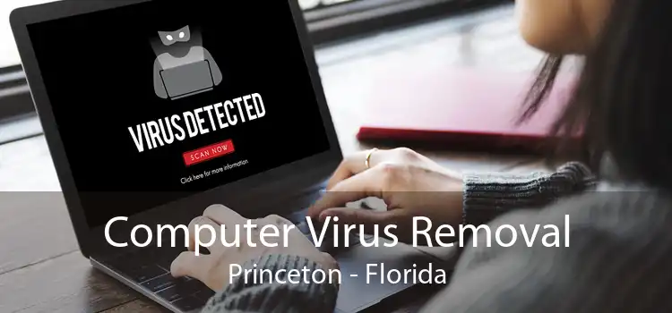 Computer Virus Removal Princeton - Florida