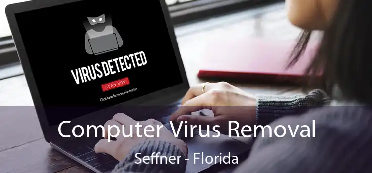 Computer Virus Removal Seffner - Florida