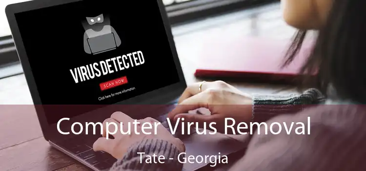 Computer Virus Removal Tate - Georgia