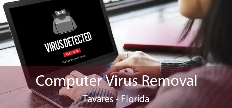 Computer Virus Removal Tavares - Florida