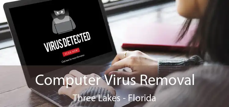 Computer Virus Removal Three Lakes - Florida