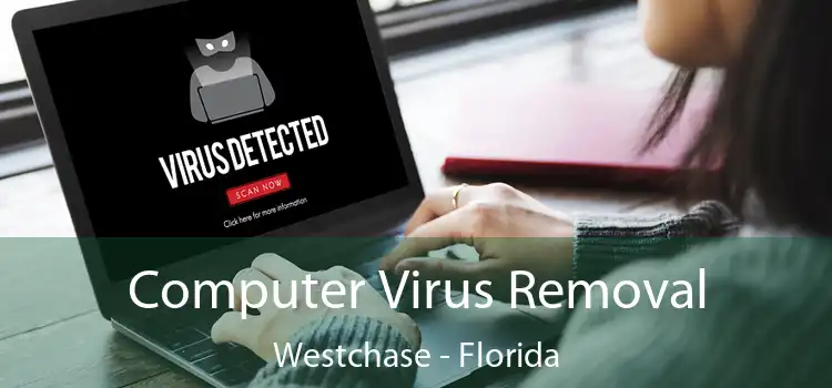 Computer Virus Removal Westchase - Florida