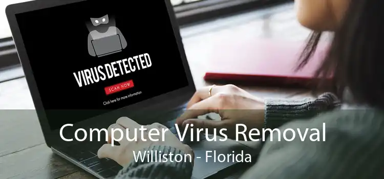 Computer Virus Removal Williston - Florida