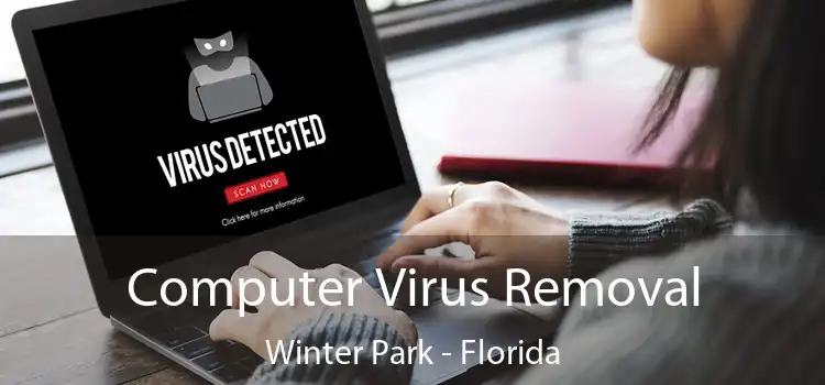 Computer Virus Removal Winter Park - Florida