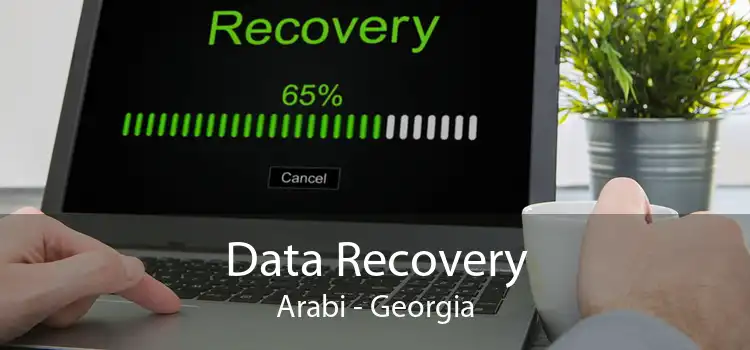 Data Recovery Arabi - Georgia