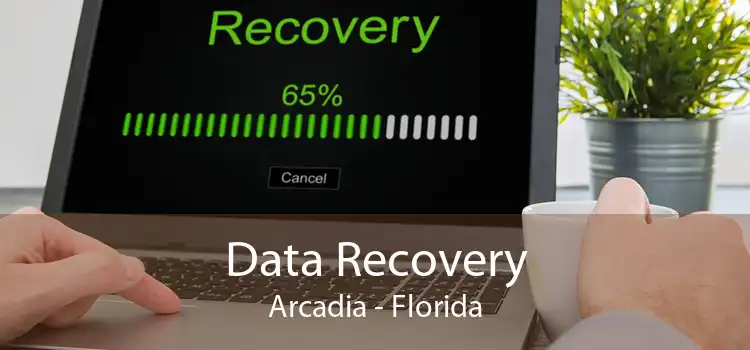 Data Recovery Arcadia - Florida