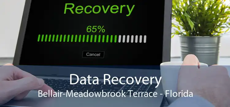 Data Recovery Bellair-Meadowbrook Terrace - Florida