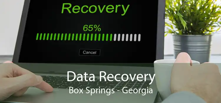 Data Recovery Box Springs - Georgia