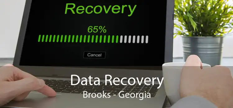 Data Recovery Brooks - Georgia