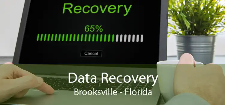 Data Recovery Brooksville - Florida