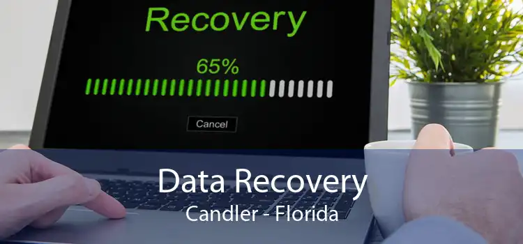 Data Recovery Candler - Florida