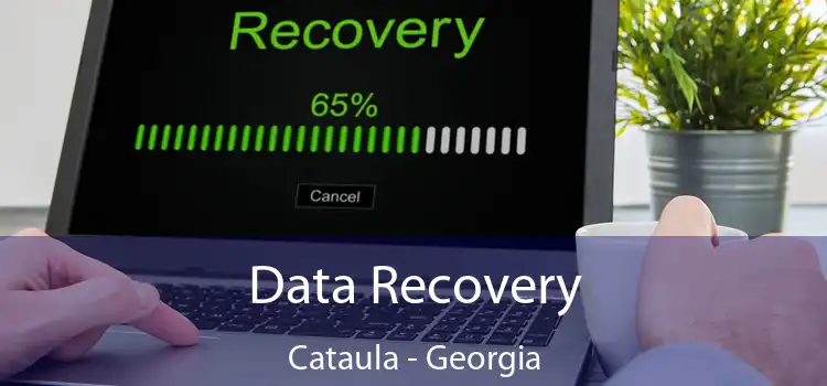 Data Recovery Cataula - Georgia