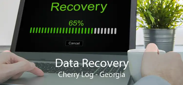 Data Recovery Cherry Log - Georgia