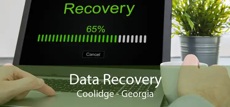 Data Recovery Coolidge - Georgia