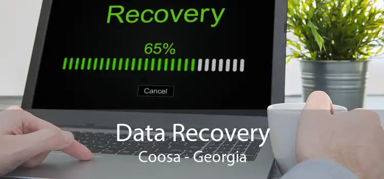 Data Recovery Coosa - Georgia