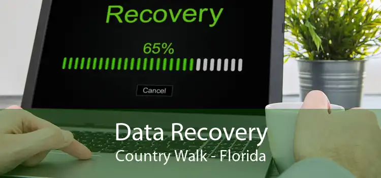 Data Recovery Country Walk - Florida
