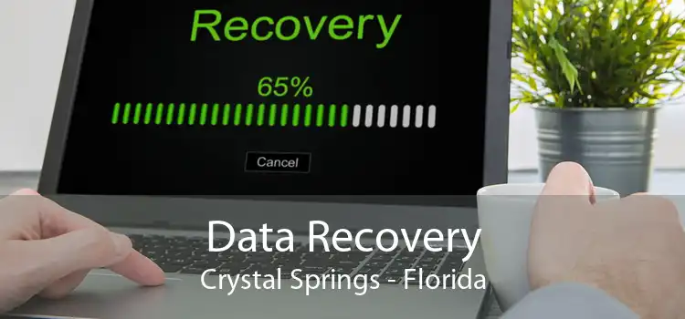Data Recovery Crystal Springs - Florida