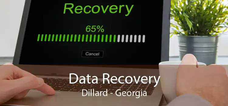 Data Recovery Dillard - Georgia