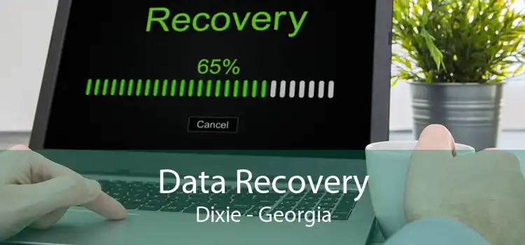 Data Recovery Dixie - Georgia