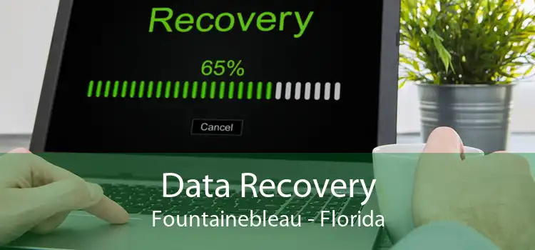 Data Recovery Fountainebleau - Florida