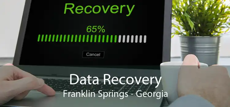 Data Recovery Franklin Springs - Georgia