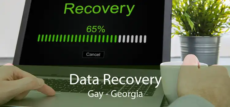 Data Recovery Gay - Georgia