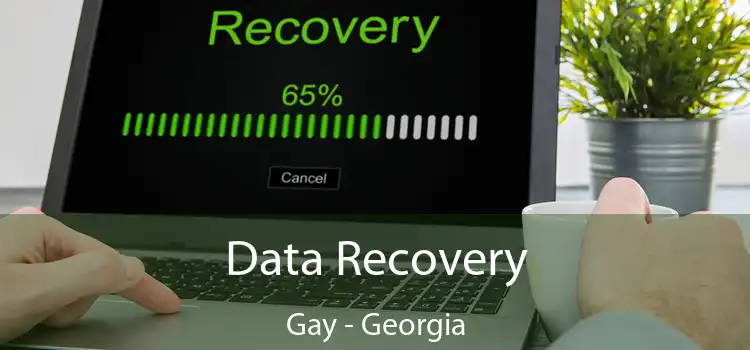 Data Recovery Gay - Georgia