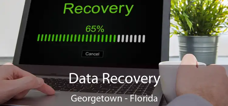 Data Recovery Georgetown - Florida