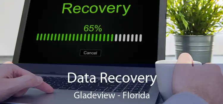 Data Recovery Gladeview - Florida