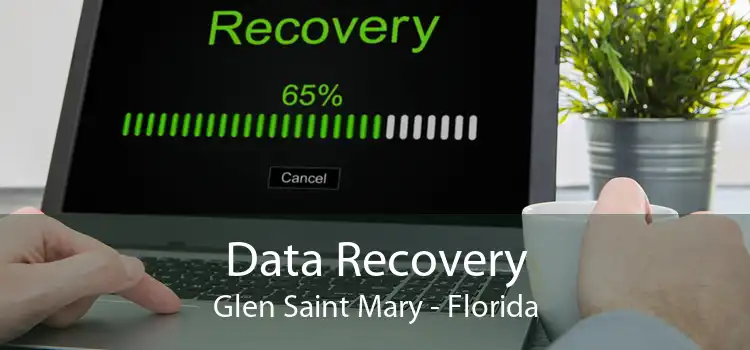 Data Recovery Glen Saint Mary - Florida