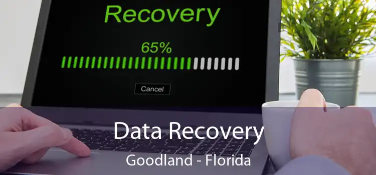 Data Recovery Goodland - Florida