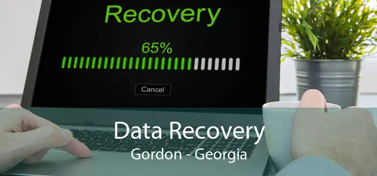 Data Recovery Gordon - Georgia