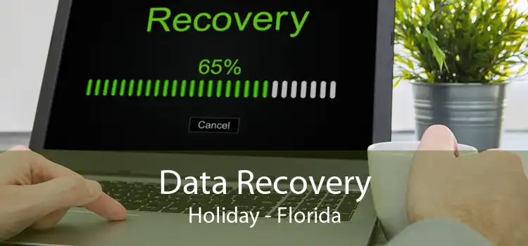 Data Recovery Holiday - Florida