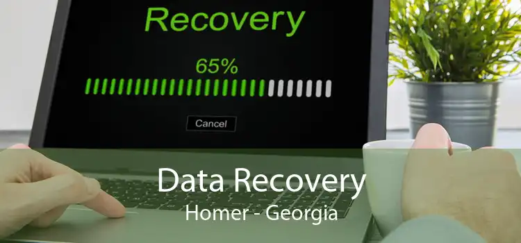 Data Recovery Homer - Georgia