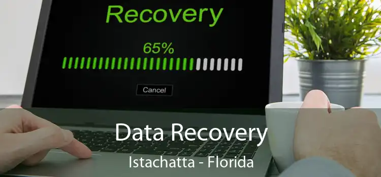 Data Recovery Istachatta - Florida