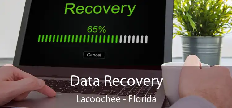 Data Recovery Lacoochee - Florida