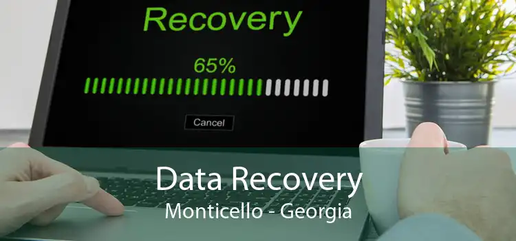 Data Recovery Monticello - Georgia