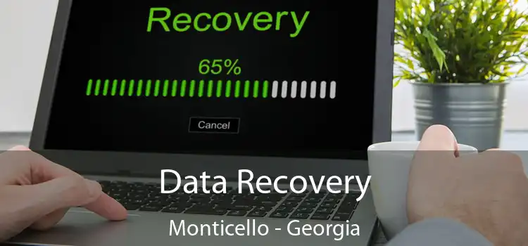 Data Recovery Monticello - Georgia