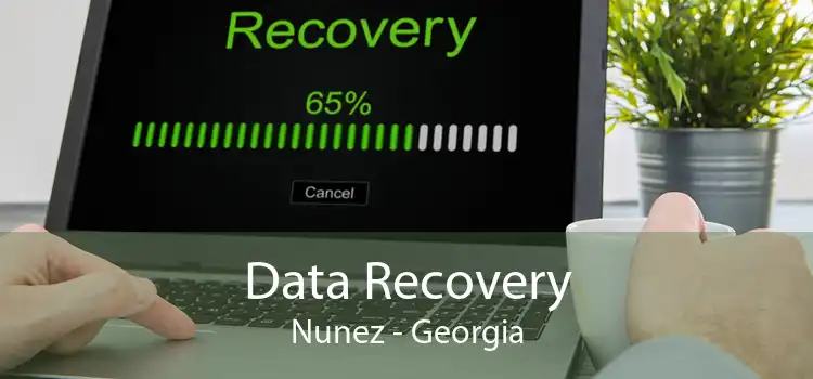 Data Recovery Nunez - Georgia