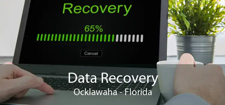 Data Recovery Ocklawaha - Florida