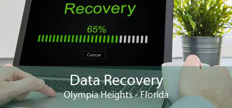 Data Recovery Olympia Heights - Florida