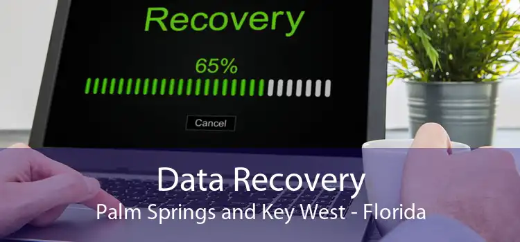 Data Recovery Palm Springs and Key West - Florida
