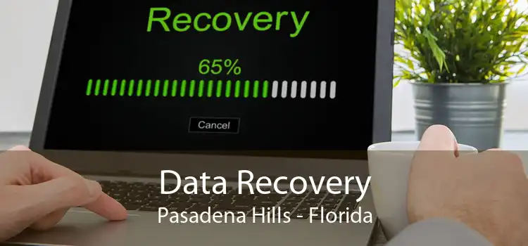 Data Recovery Pasadena Hills - Florida