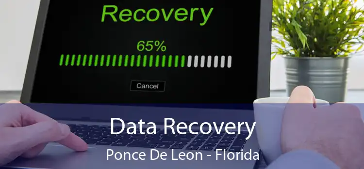 Data Recovery Ponce De Leon - Florida